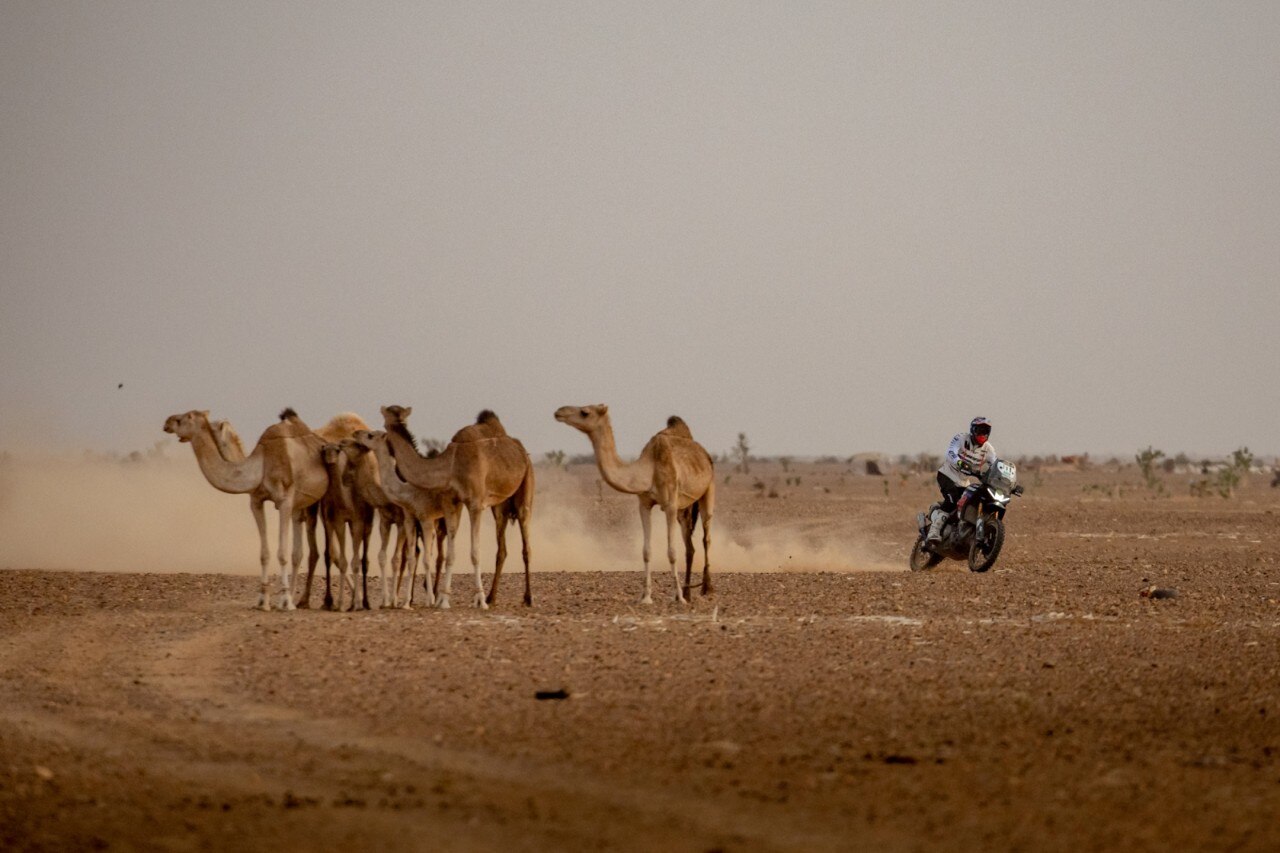 “Aprilia Tuareg queen of Africa”