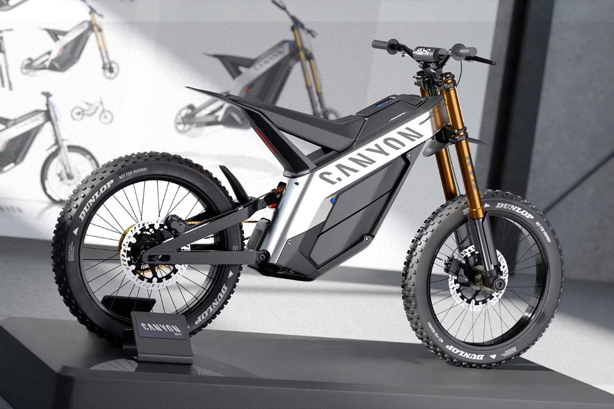 "Canyon Surge:On": molto più di un concept