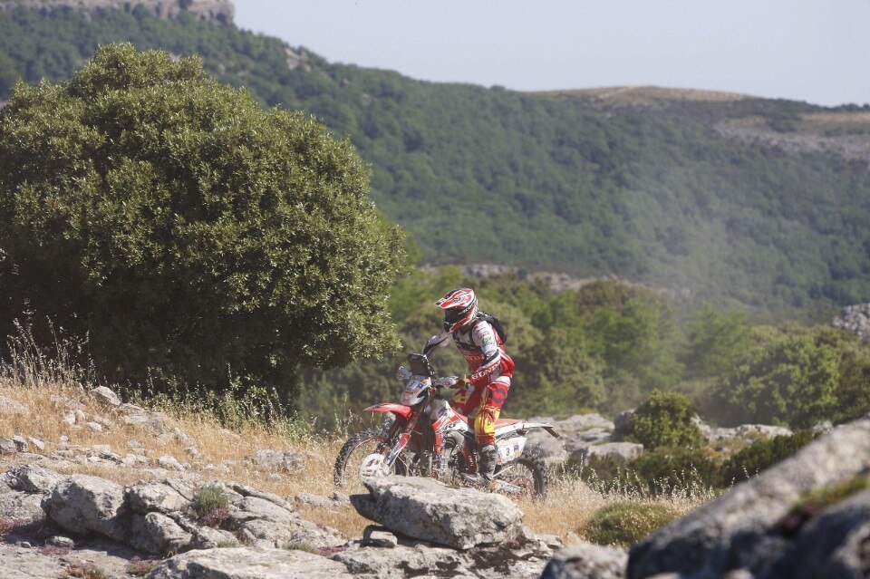 Sardegna Rally Race 2014 - Day 4. Barreda vince la tappa. Botturi consolida la leadership