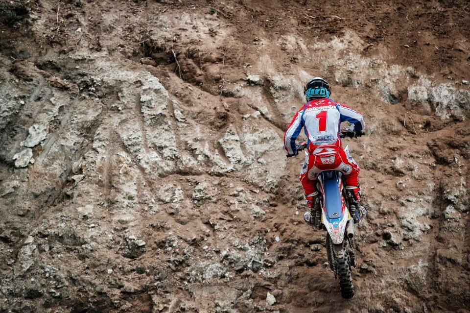 Steve Holcombe: ME LI BEVO TUTTI!