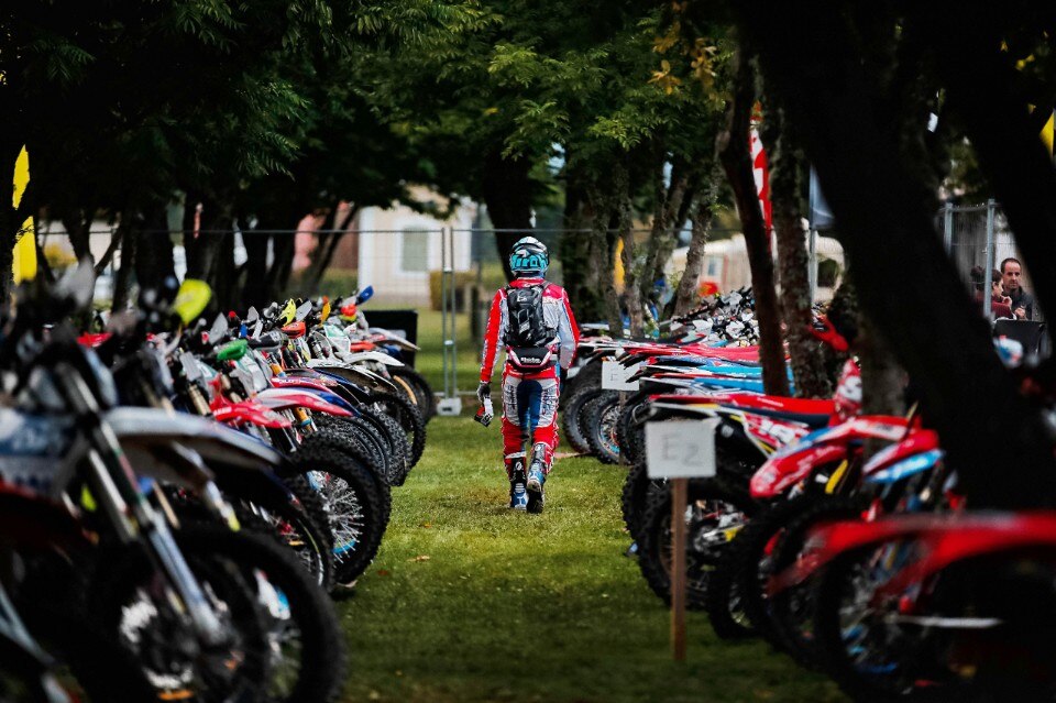 Steve Holcombe: ME LI BEVO TUTTI!