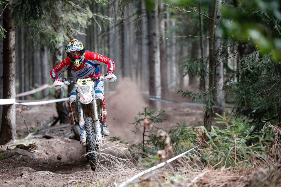 Steve Holcombe: ME LI BEVO TUTTI!