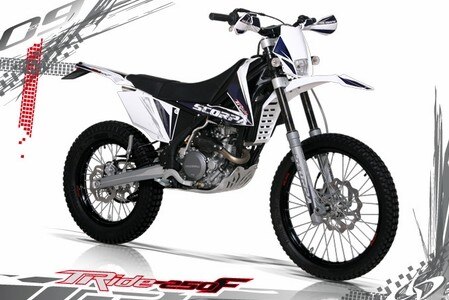Anteprima 2009. Scorpa T-Ride 250F