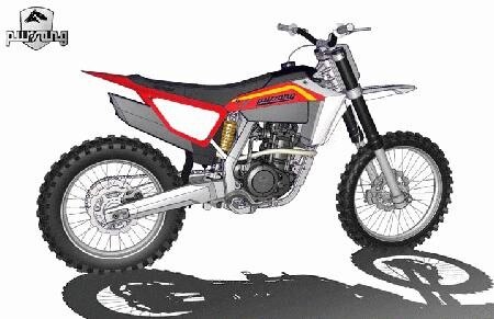 PursanG 450. Pronta entro marzo 2010