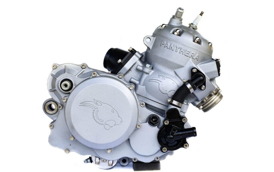 Panthera Motorsports 600cc.: un due tempi bestiale