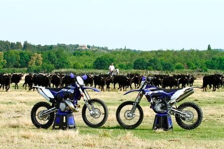 Sherco 2014. Fuori dal mucchio